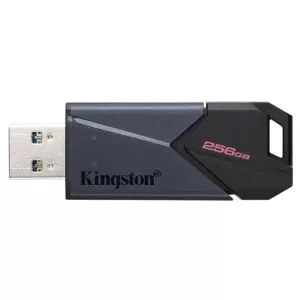 Kingston 256GB Portable Usb 3.2 Gen 1 DataTraveler Exodia On